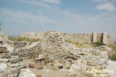 Vista de les ruinas de Rada