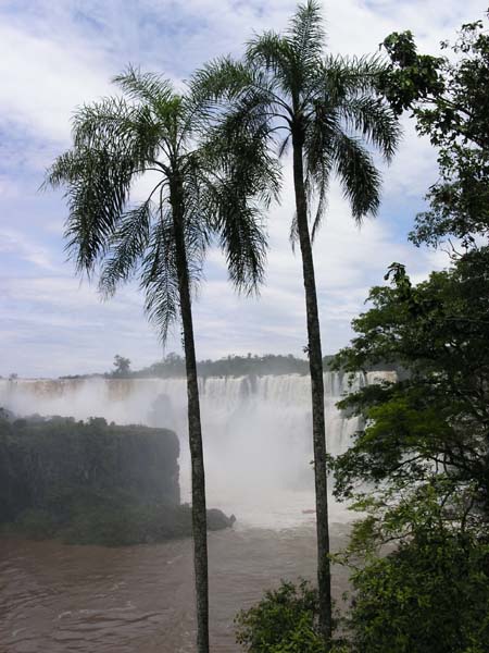 PICT0838