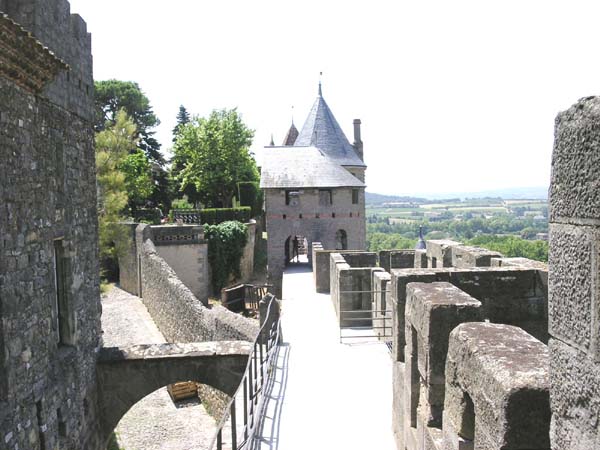 carcasso (35)
