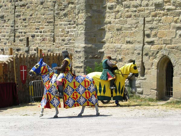 carcasso (45)