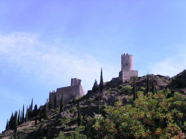 carcasso (92)
