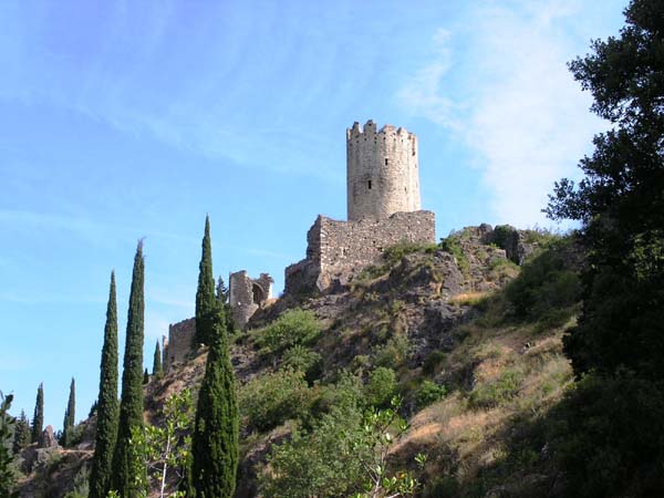 carcasso (94)