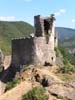 carcasso (101)