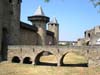 carcasso (40)