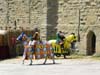 carcasso (45)