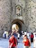 carcasso (49)