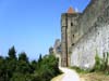 carcasso (51)