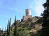carcasso (94)