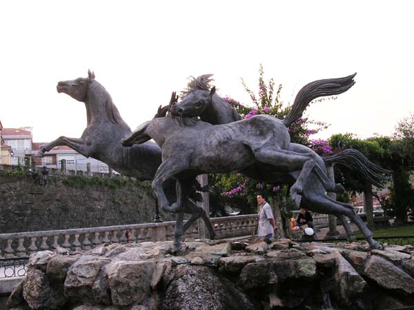 PICT2699