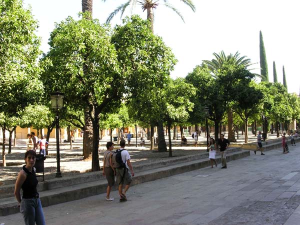 Granada (60)
