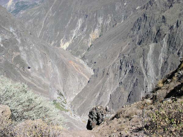 PICT0497