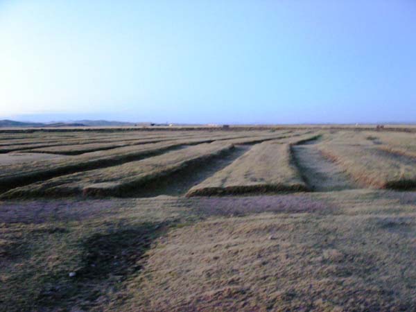 PICT0562