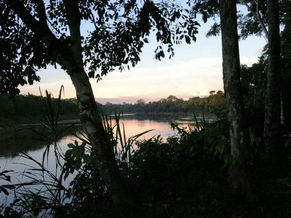 PICT1045