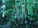 PICT0920
