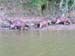 PICT1075