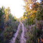 camí cap a la barraca