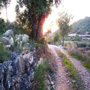 cami d'en vives