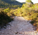 Camí del Parc