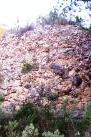 barraca d'en vives