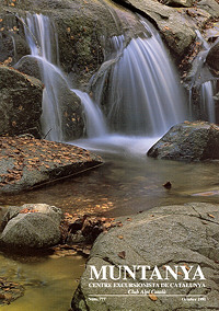 Un torrent al Montseny