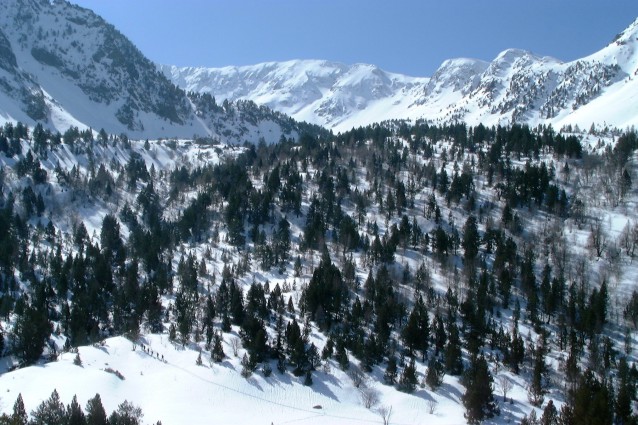 Vall accés a la Serra del Pic de l´Estanyó