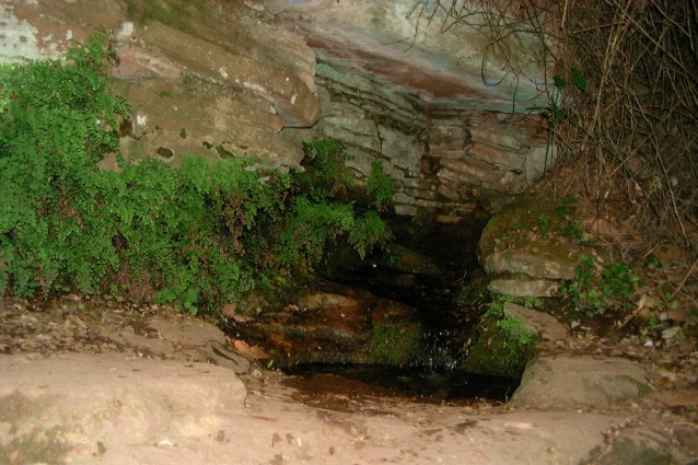 Font del Llor