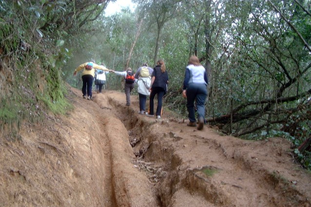 Les 2 rodes han fet malb la natura