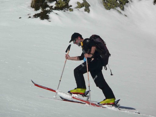 Pams de neu a les soles