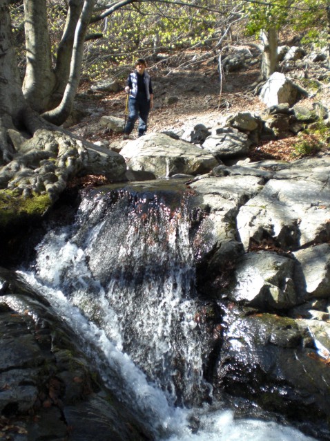 L'aigua del Montseny. Mes preuada que el petroli. 