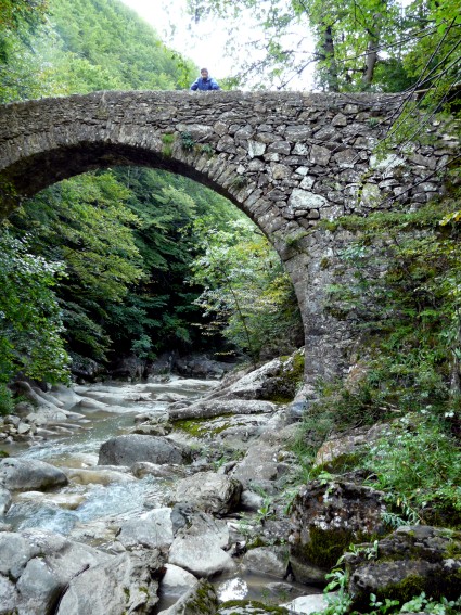 Pont de Salgueda