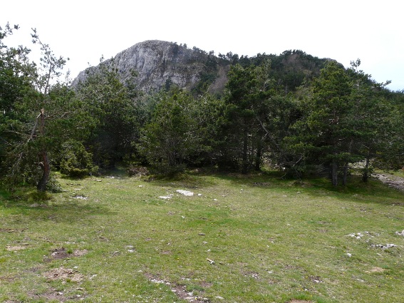 El Puig de Bassegoda