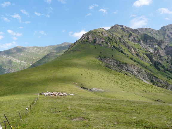 Collada de Basco