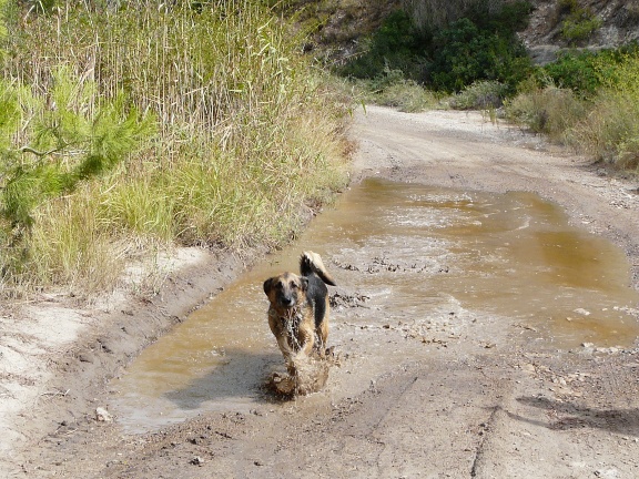 La Pruna fent un bany terapèutic de fang