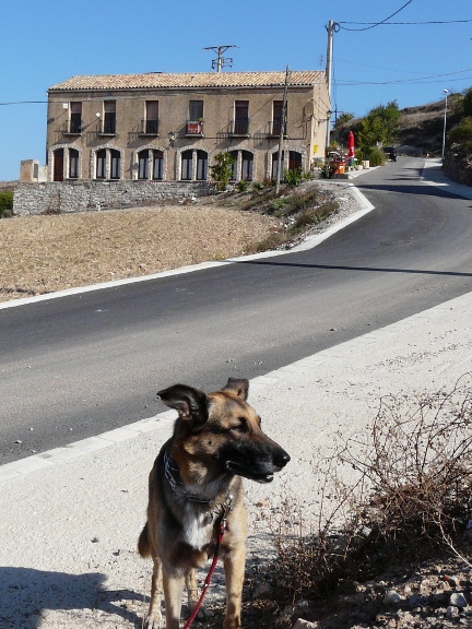 La nostra mascota: La Pruna. Al fons l'Ajuntament, bar...