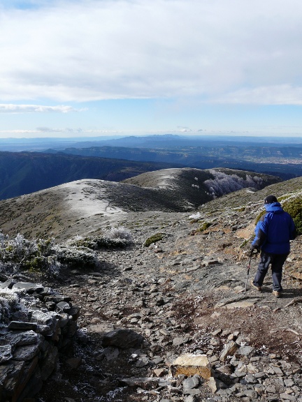 Collet dels Llops. Collet i Turó de l'Estanyol