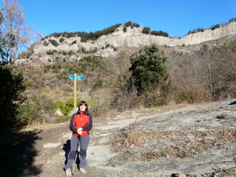 Cingles de la Serra dels Bufadors