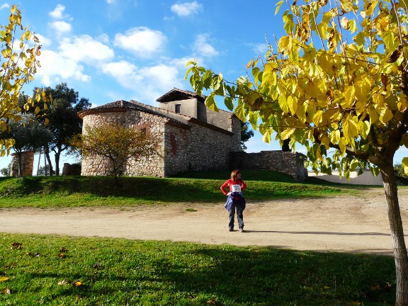 Sant Llop de Viabrea