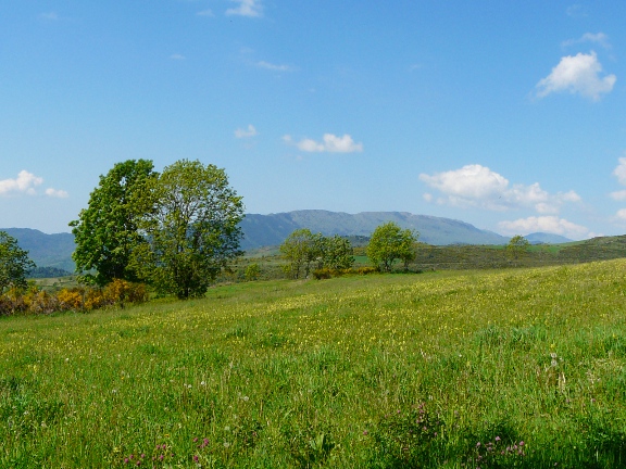 Serra Cavallera