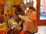 DSC04255.JPG