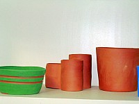 DSCN0608.JPG