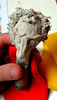 maixe (18).JPG
